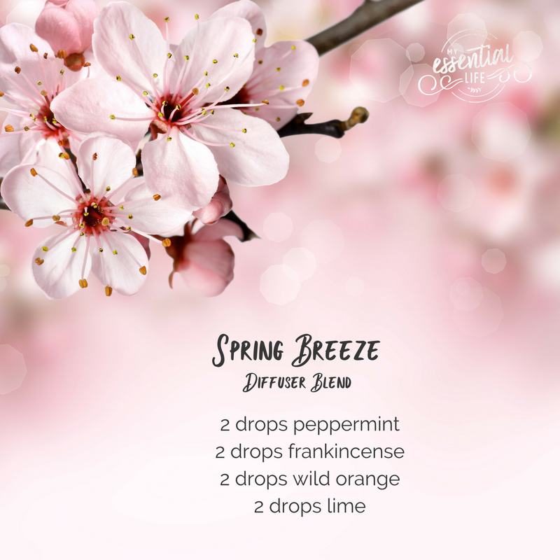 myessentialife's tweet photo. Well I don't know about you guys but I'm over winter! Lets bring on Spring! I'm starting early with diffusing this #springblend in my house this week! #overwinter #readyforspring #enoughwiththecold #essentialoils https://t.co/XF19bFNcrv
