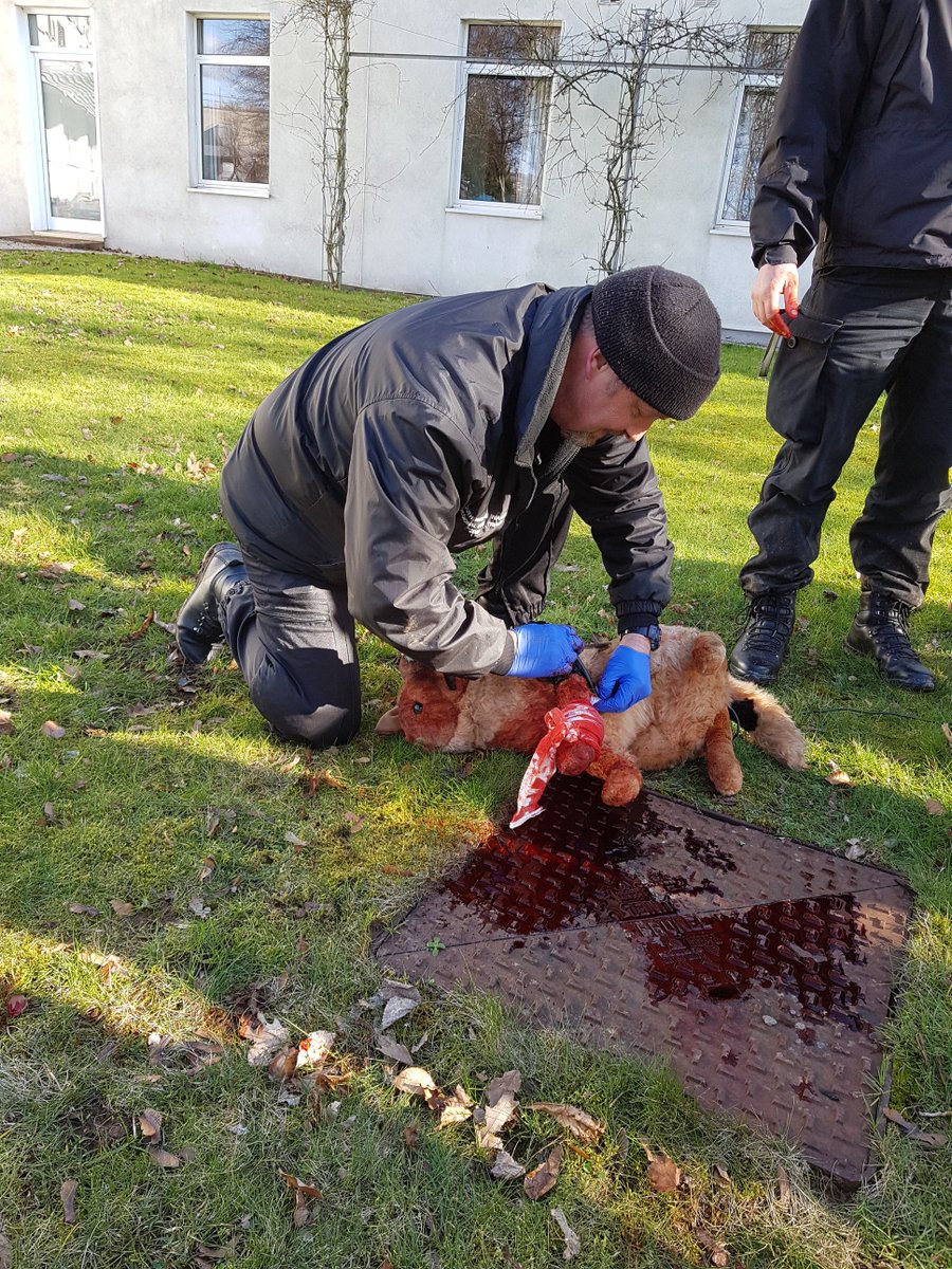 PoliceDogDorset's tweet photo. K9 first aid course today! Brilliant course and as you can see the practical's were very real!! #itsstuffed https://t.co/5tKuZGybAX