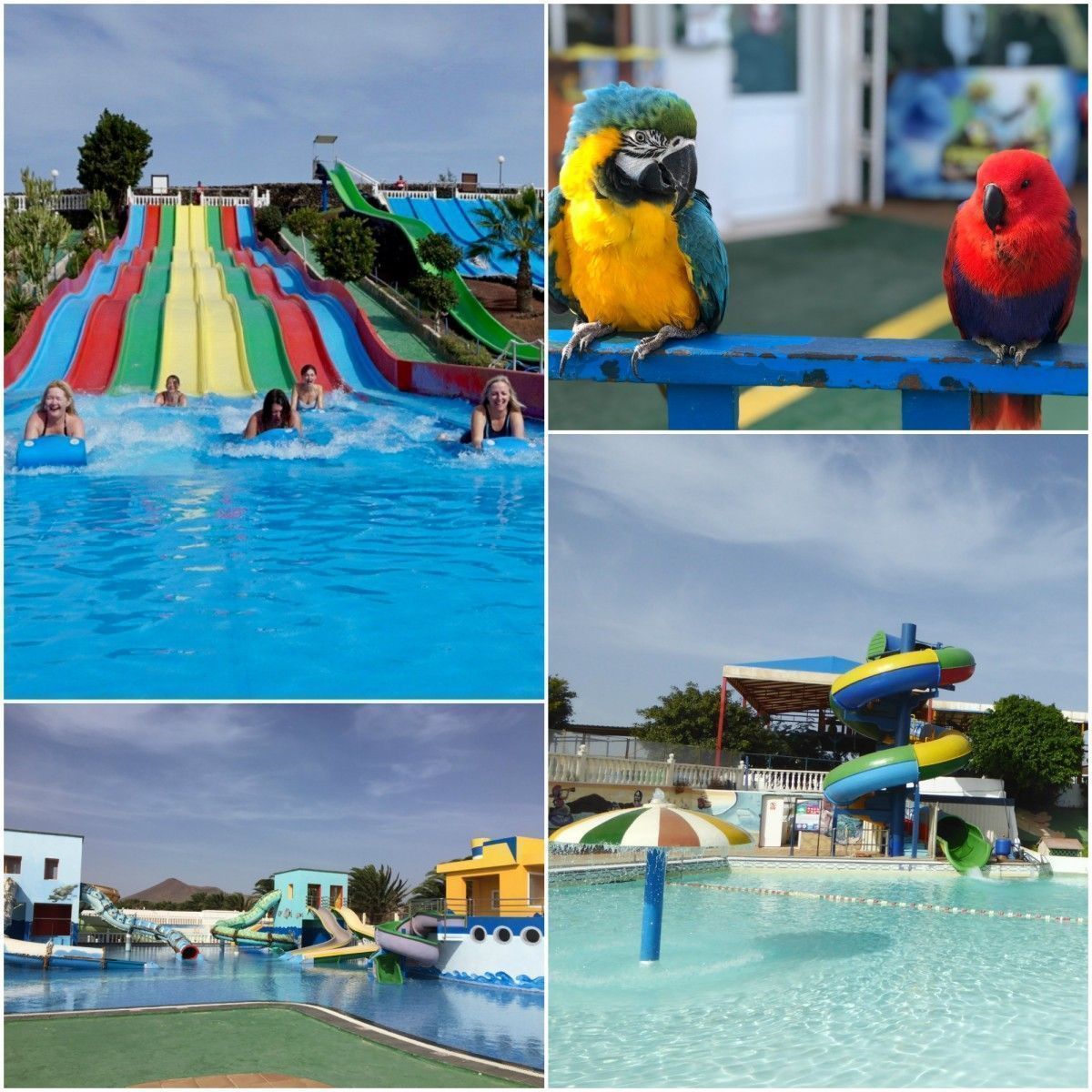 Lanzarote for kids: check out these great shore excursions as tried and tested by our editors  buff.ly/2D8CpVD #familytravel #travel #cruisetips