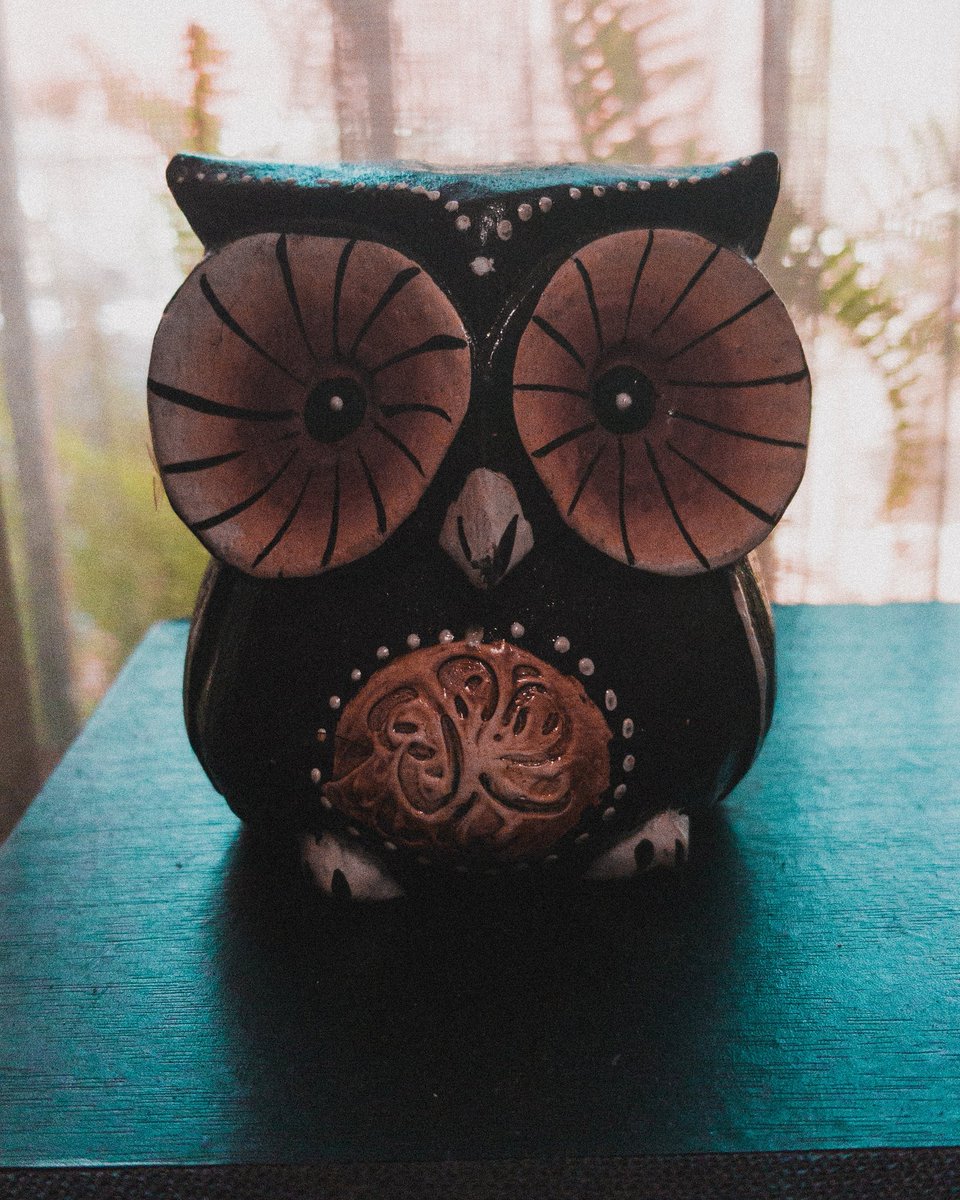 cellphonecreate's tweet photo. Check out my little friend.

One post a day, give us some love and hit that follow button.

#mobilephotography #androidphotographers #like4like #owlsofinstagram #followus✨ #woodanimals #smallcreator https://t.co/diJWxdCr3W