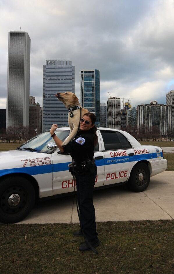 Chicago_Police's tweet photo. Our CPD women wish everyone a happy #InternationalWomenDay2018  Thank you to all the #WomenInLawEnforcement who protect us each day! #RosieTheRiveterChallenge https://t.co/j8P2EEJCV2