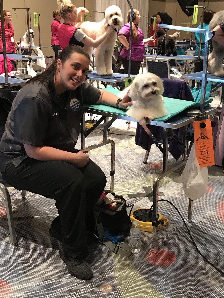 Kasey making nice on Reggie! Great job <a href="/khumphreygrmr/">Kasey Humphrey</a> #APFC18 #petsmart #groomingteam #qualityandeducation @PetSmart_DaveK <a href="/CarrieVillani/">Carrie Villani</a> <a href="/JoannaZucker/">Joanna Zucker</a> <a href="/KurtD_Salons/">Kurt Dennis</a>