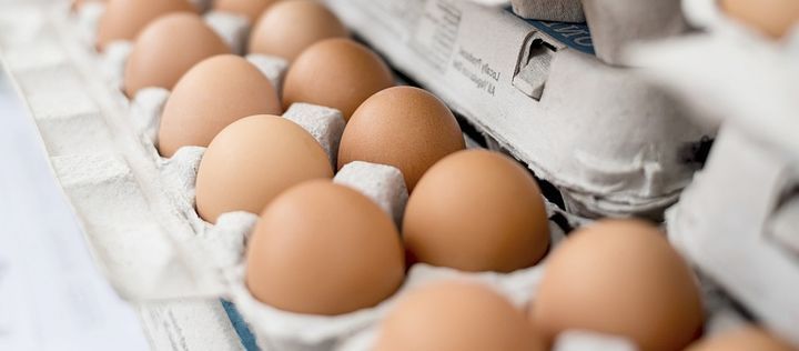 waswiressen's tweet photo. #ImpulsderWoche: Bio-Eier: Ein Ei gleicht nicht dem anderen! Damit Sie beim Einkauf sicher zum #BioEi greifen können, ist nicht nur die Verpackung entsprechend gekennzeichnet, auch trägt jedes Ei einen eindeutigen #Erzeugercode. https://t.co/MhTEM8NmF9 #Kennzeichnung https://t.co/ogD1cxp6mb
