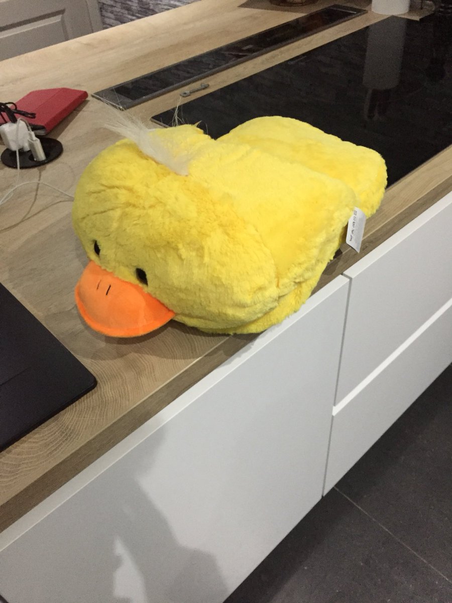 Ssaa3009's tweet photo. #nationalevrouwendag omdat ze toch altijd koude voetjes hebben 🙈😂 https://t.co/sspmeKyf2y