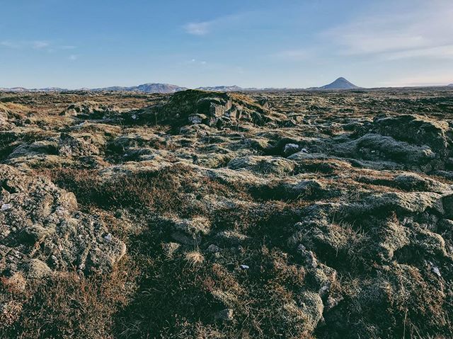 steph zakas (@stephzakas) on Twitter photo Today I hung out in one of my favorite areas of Iceland. I’ll never get over the lava and moss. Never ever. 🗻🖤 I am so so excited to be hosting a workshop here in my favorite part of the world in October with <a href="/kylegoldie/">Kyle Goldie</a> and <a href="/lovestoryfilms/">OurLoveStory</a>. Tickets … ift.tt/2p0pdgd Today I hung out in one of my favorite areas of Iceland. I’ll never get over the lava and moss. Never ever. 🗻🖤 I am so so excited to be hosting a workshop here in my favorite part of the world in October with <a href="/kylegoldie/">Kyle Goldie</a> and <a href="/lovestoryfilms/">OurLoveStory</a>. Tickets … ift.tt/2p0pdgd