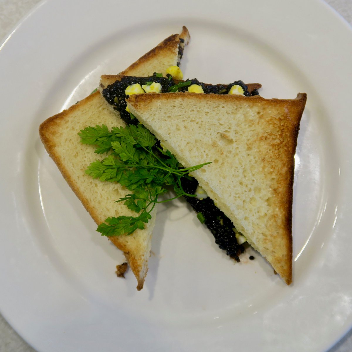 Marianne Murciano tweet media