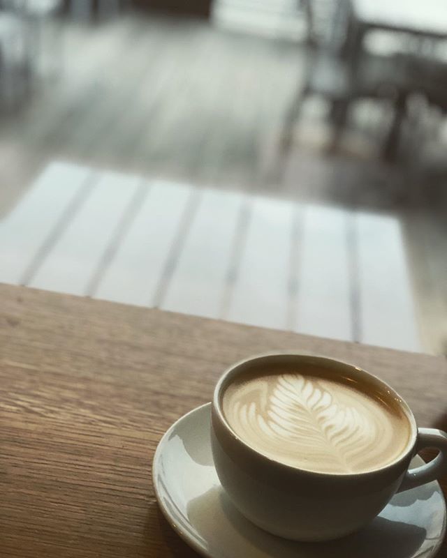 saltedadventure's tweet photo. Light and shadows.

#saltedadventures #staysalted #coffeeshop #crema #nashville #latteart #rosetta #windowview #insearchofcoffee #willtravelforcoffee #exploremore #nashvillecoffee #discovernashville #tennessee #cremacoffee https://t.co/QYyUwgAKen https://t.co/yo5R700qnz