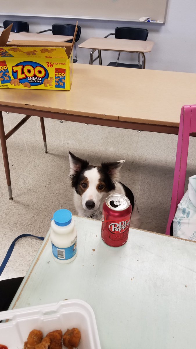MrsHolbrook_4th's tweet photo. Our 4th grade lunch date, Hanna is critically thinking about what to drink...milk or Dr. Pepper?? #celebratelisd17 @LampasasHSE https://t.co/kn5ExV6Gj8