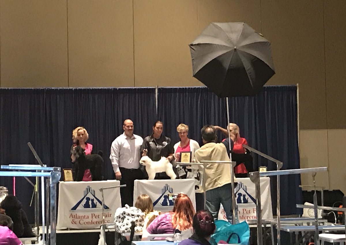Congrats Kasey and Reggie on your first place in Mixed Salon Styling Intermediate class.  <a href="/TeamPetSmart/">PetSmart Grooming Team</a> @AtlantaPetFair #standout #goteampetsmart