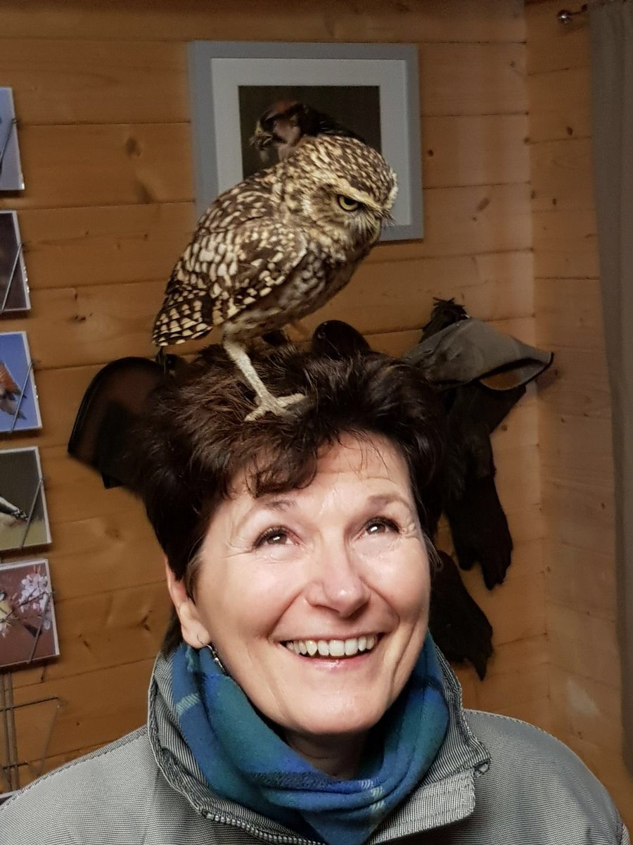 Alison Archibald tweet media