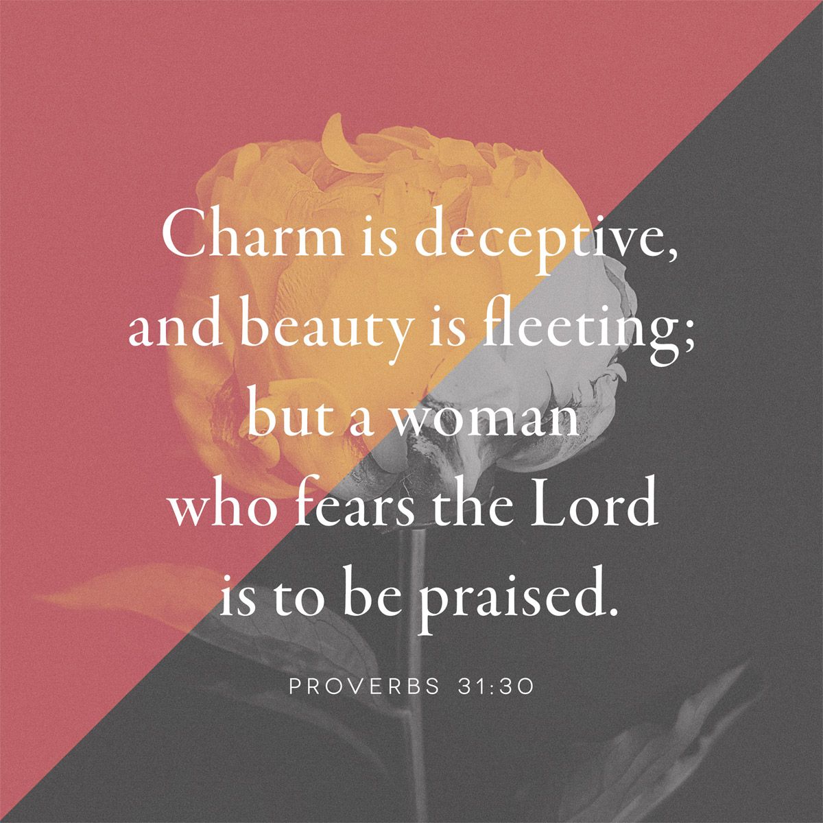 hellogreenbrier's tweet photo. Value is more than just what we see. #InternationalWomensDay https://t.co/QtZV6APLIQ