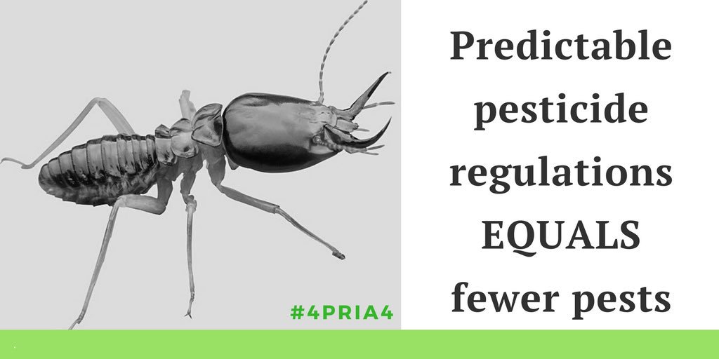 #4PRIA4 #Termite #EatYourHouse                         <a href="/SherrodBrown/">Sherrod Brown</a>
<a href="/SenatorCardin/">Senator Ben Cardin</a>
<a href="/SenBobCasey/">Bob Casey</a>
<a href="/SenDonnelly/">Archive: Senator Joe Donnelly</a>
@SenatorDurin
<a href="/MartinHeinrich/">Martin Heinrich</a>
<a href="/SenatorHeitkamp/">Archive: Sen. Heidi Heitkamp</a>
<a href="/amyklobuchar/">Amy Klobuchar</a>
<a href="/SenatorLeahy/">Sen. Patrick Leahy</a>
<a href="/clairecmc/">Claire McCaskill</a>
<a href="/SenBillNelson/">Bill Nelson</a>
<a href="/SenSchumer/">Chuck Schumer</a>
<a href="/SenStabenow/">Sen. Debbie Stabenow</a>