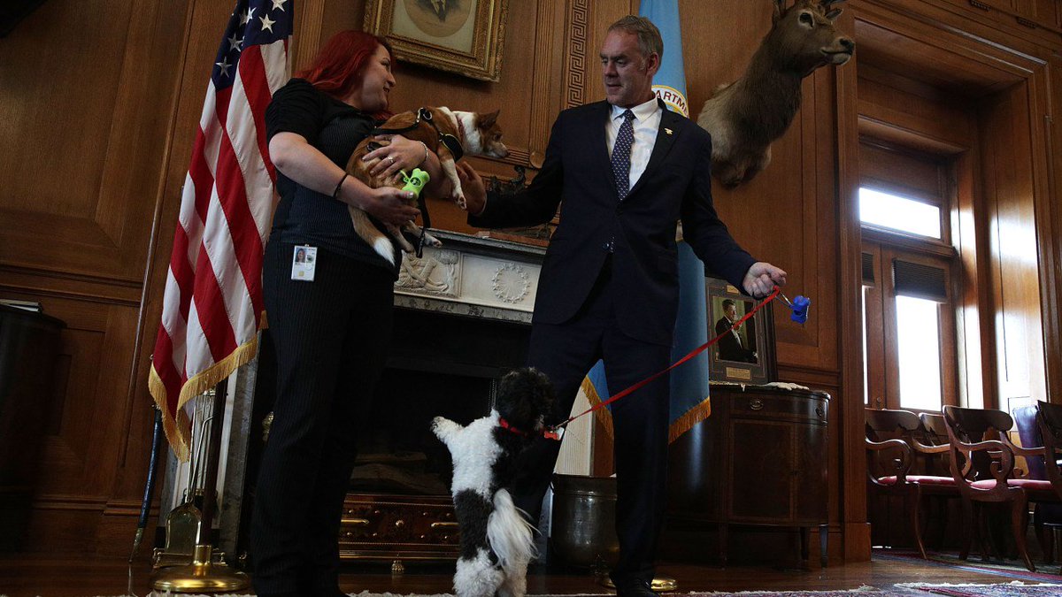 thinkprogress's tweet photo. The Interior Department reportedly spent $139,000 on a door for Secretary Zinke https://t.co/Vel4JKt57h https://t.co/WbEQuVAIwb
