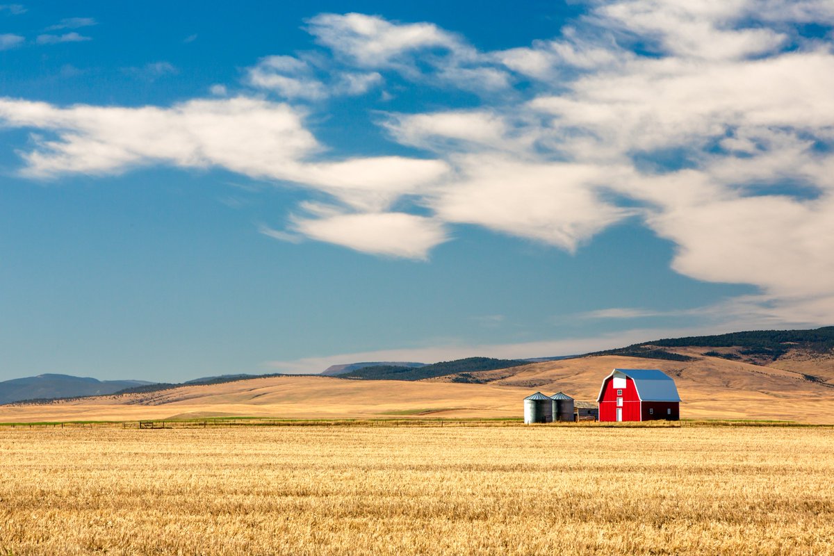 Check out the release on the most recent Growth Through Agriculture grant and loan awards. A great crop of projects adding value to Montana's food and ag industries! #MTAg #MontanaAg agr.mt.gov/News/governor-…
