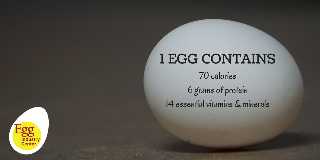 #Eggs are a wonderful low-calorie source of #protein, as well as #vitamins and #minerals! #eggfacts
