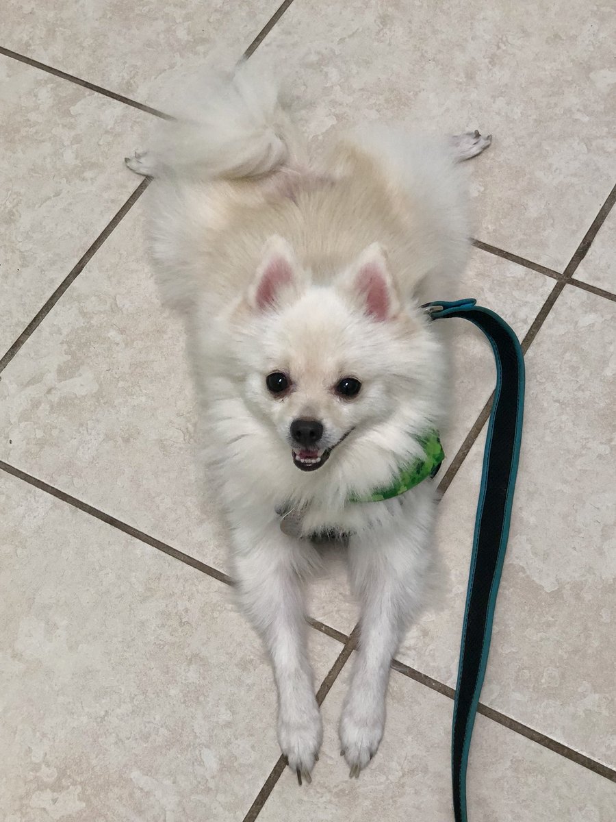 _SpaceGal_'s tweet image. Vet visit with #DrCurry #Titusville