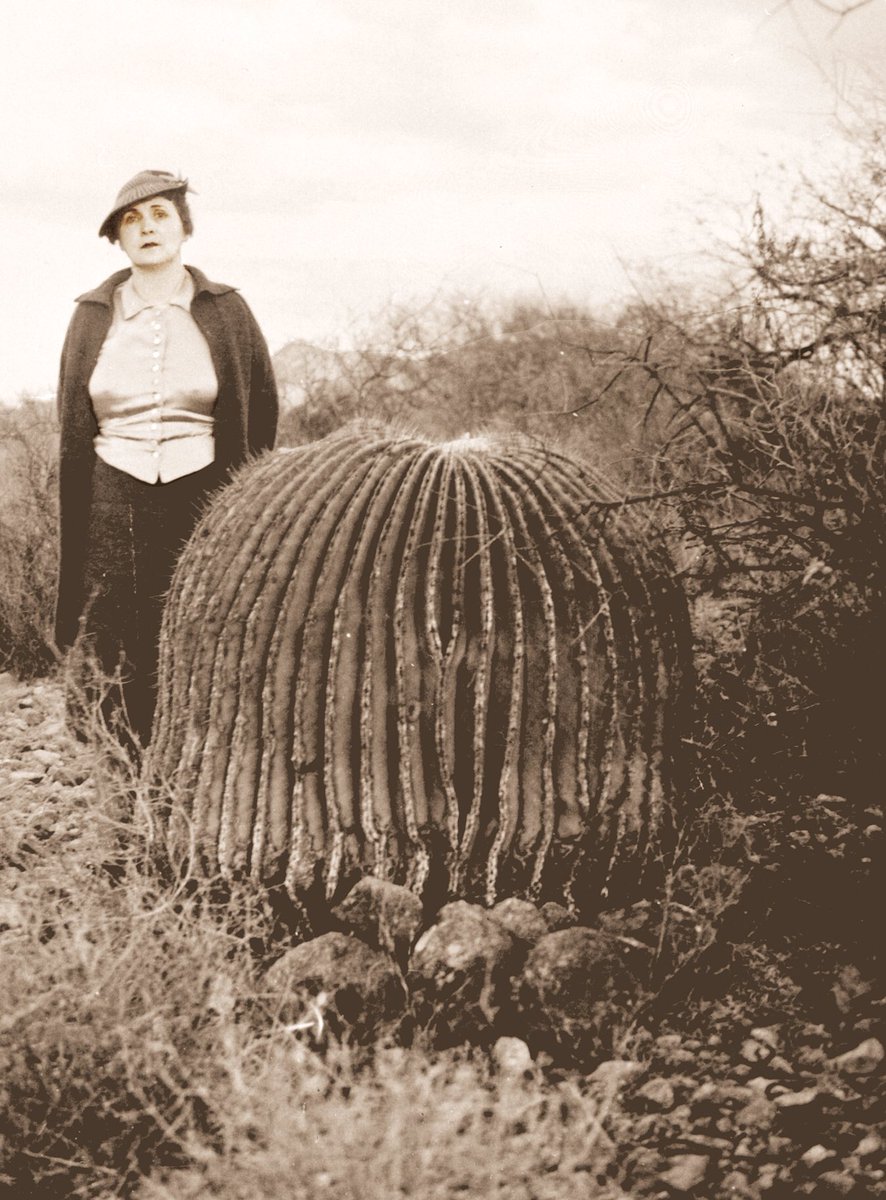 We wouldn’t be what we are today without the generosity and drive of Gertrude Divine Webster. Thank you to the incredible past and present women who have helped the Garden blossom 🌵 #internationalwomensday #tbt