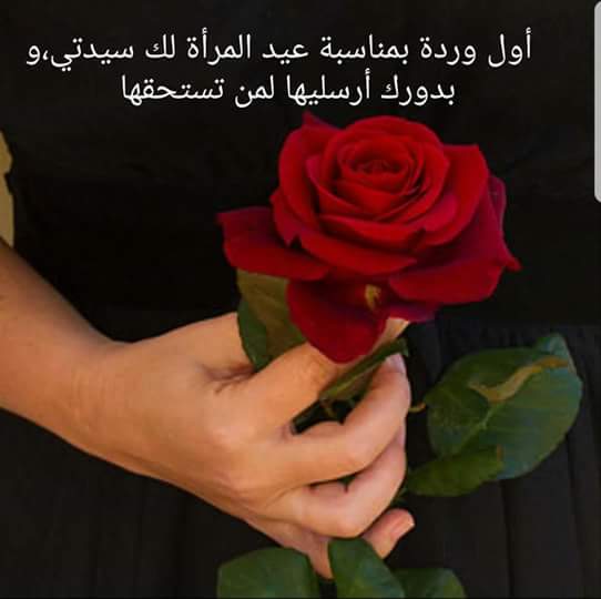 MiraInesse's tweet photo. #8mars #اليوم_العالمي_للمرأة #bonnefete #femmes #alger #algeria #phalastine #Tunisie #Maroc #libya #moritania https://t.co/ub3Irw8qlK
