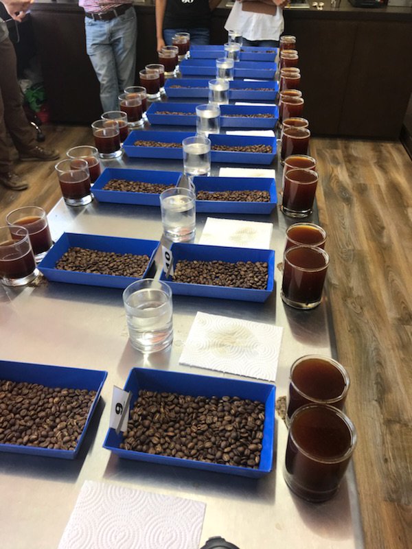 Steve and Jared had a great cupping yesterday with our friends from Finca La Bolsa in La Libertad, which is in the Huehuetenango area of Guatemala.
