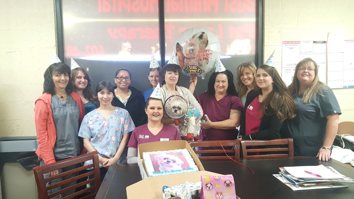 FaustPets's tweet photo. Happy 10th Birthday Milou!!!!  #BirthdayCelebration #Milouparty https://t.co/4u4TotUfEq