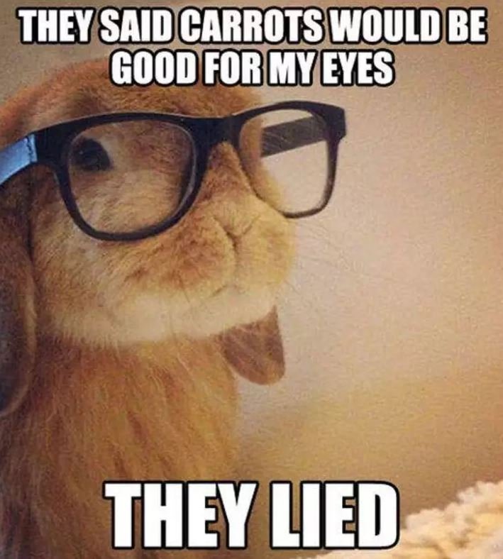Carrots are rich in vitamin A, which is an essential vitamin to prevent night-blindness. While eating carrots won't necessarily help you see better, they won't hurt! If you really do want to see better, visit us for an appointment.