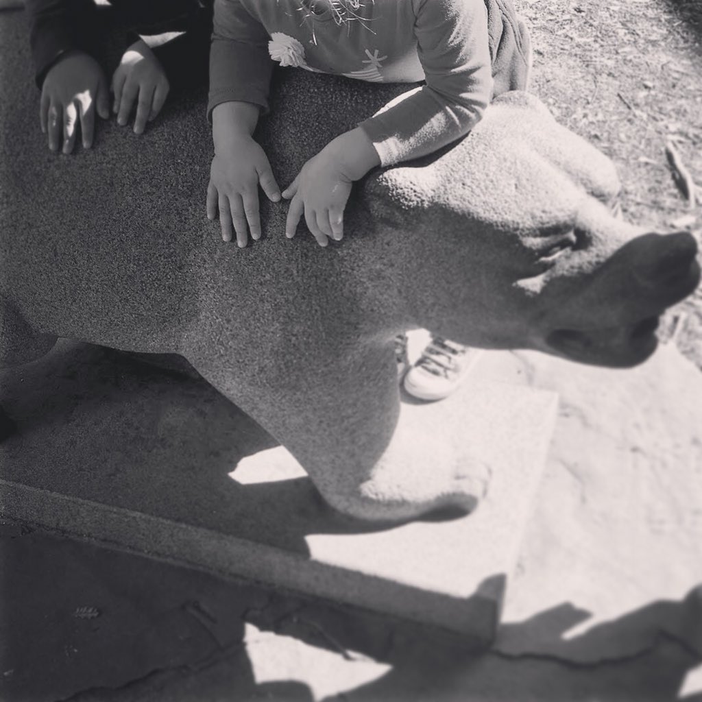 Shannon86005560's tweet photo. The future is in these hands #ecepBerkeley #CalBigGive https://t.co/uNs2WbgTQe