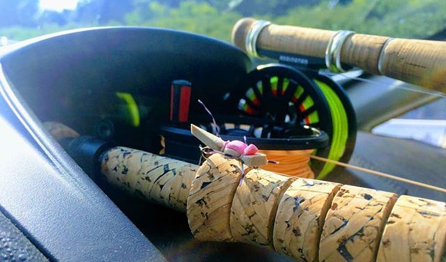 pocket_of_flies's tweet photo. Rod storage...when you cheap out on the rental car and get a Kia. Also, turning Kia into an off-road vehicle.
#Georgia #nationalforestroads #flyfishing #flyfishingadventure #flyfishingwomen #findyourpark #getoutside
#5050onthwater https://t.co/RYzI0ARDvr