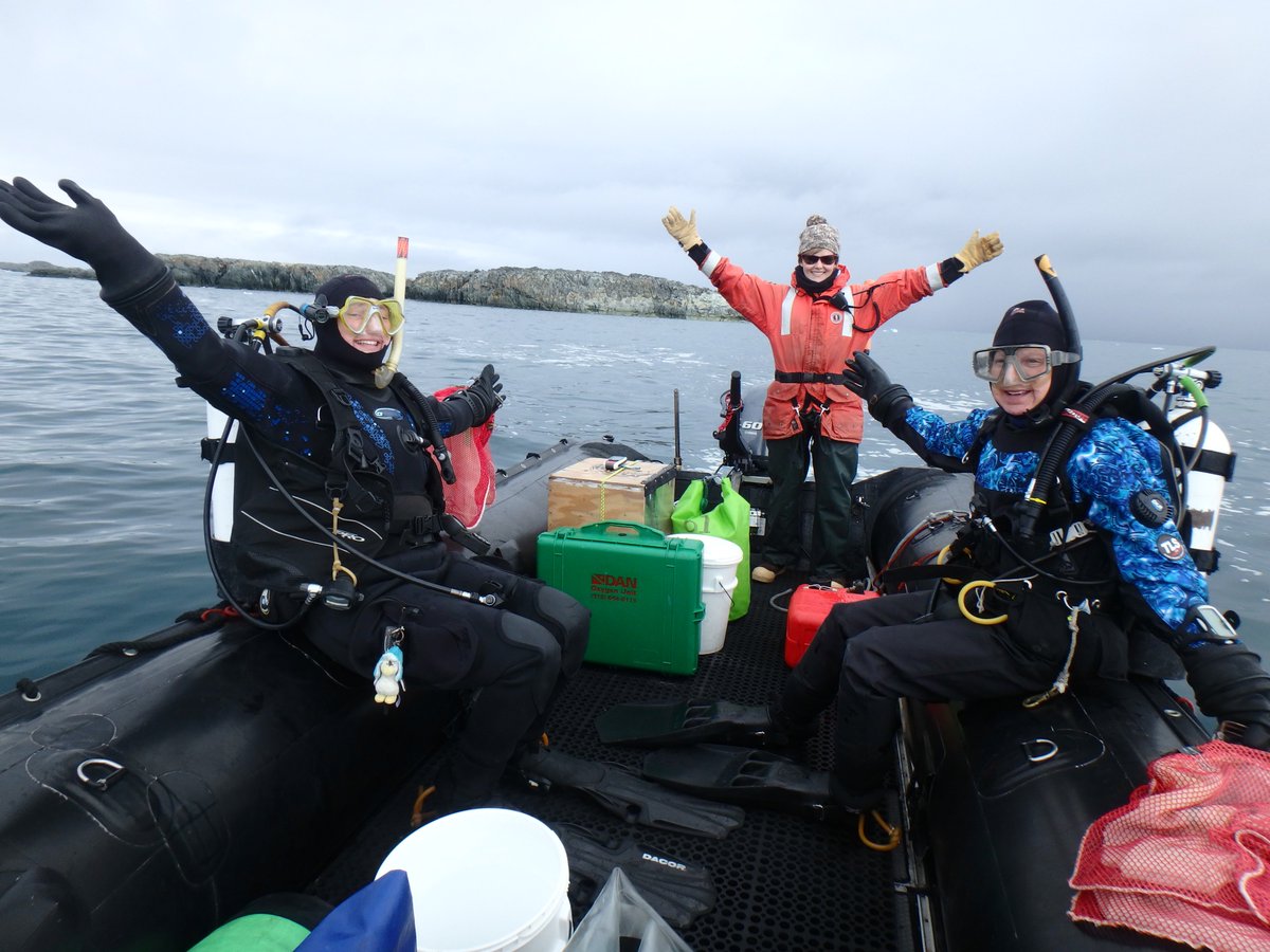 SabrinaHeiser's tweet photo. Happy #internationalwomensday2018 everyone. I feel extremely lucky to be in a group with so many inspirational and strong women - Maggie Amsler, Michelle Curtis and @ceciliabrothers ! Never mind all the other women at Palmer Station #UABinAntarctica @UABBiology @UABgradschool https://t.co/t1o7An83AS
