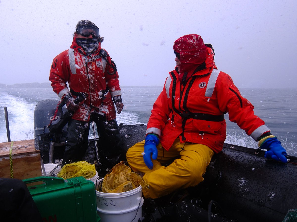 SabrinaHeiser's tweet photo. Happy #internationalwomensday2018 everyone. I feel extremely lucky to be in a group with so many inspirational and strong women - Maggie Amsler, Michelle Curtis and @ceciliabrothers ! Never mind all the other women at Palmer Station #UABinAntarctica @UABBiology @UABgradschool https://t.co/t1o7An83AS