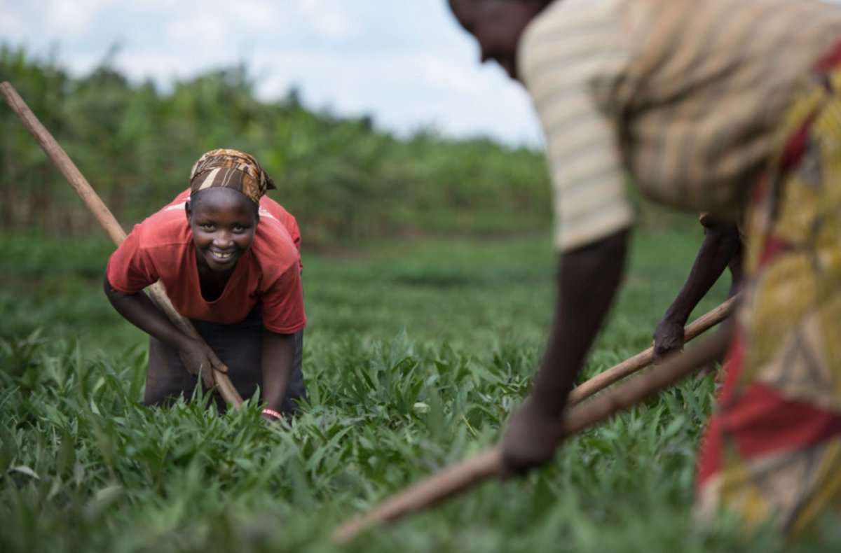 CIFOR_ICRAF's tweet image. Today on #IWD2018 see how @CGIAR research is transforming women’s lives: improving their access to information and agricultural innovation, increasing their decision-making powers and incomes, and strengthening land tenure rights: on.cgiar.org/CGIAR-IWD2018 #genderinag @CGIARgender