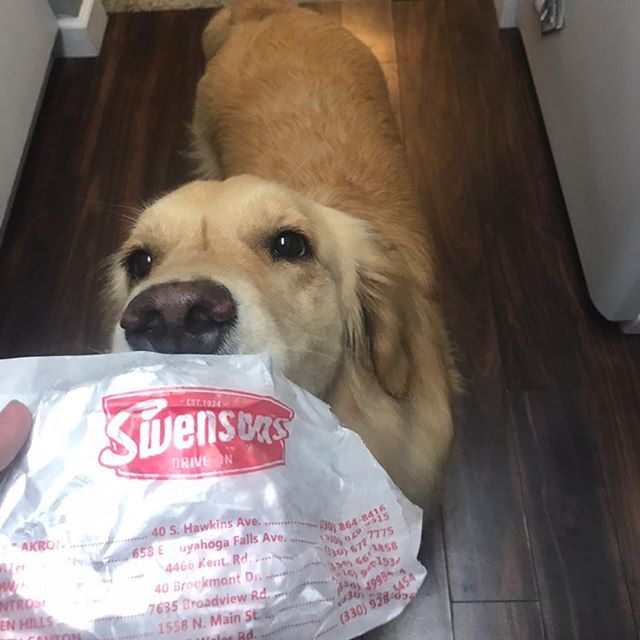 SwensonsDriveIn's tweet image. It's been a long winter for them too...maybe a treat is in order for our furry friends?  #Swensons #DogsOfWinter #MansBestFriend 📷: @mojito_rose