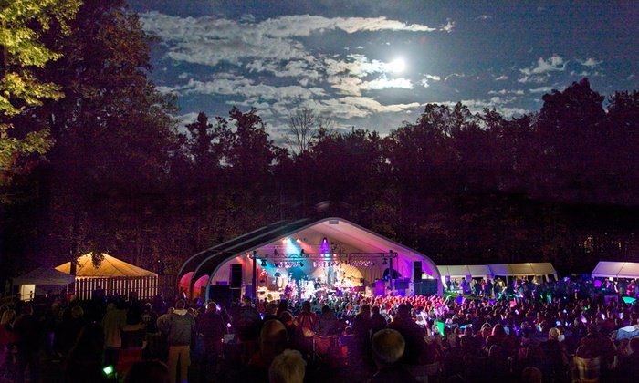 Little Fish Records tweet media