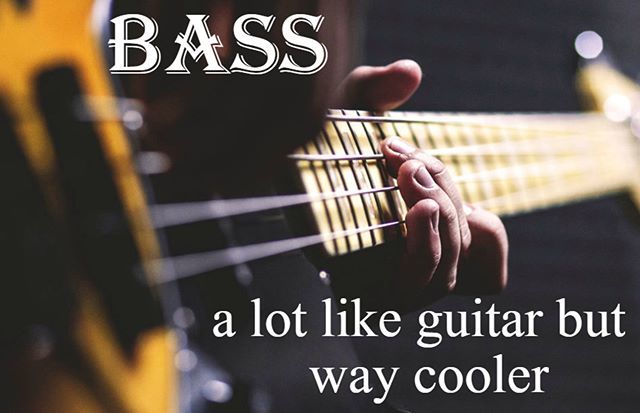 bassplayerbassists.com
#bassguitar #bass #bassplayer