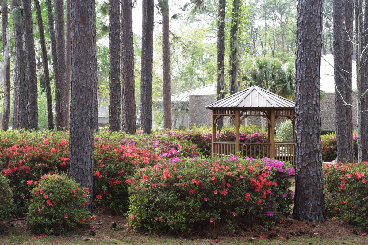 FGCollege's tweet photo. Spring is in the air, and the azaleas are in full bloom.

And FGC Spring Break 2018 starts tomorrow!

Everyone have a safe and relaxing break. We'll see you back at FGC on Monday, March 19. https://t.co/Kc7eMBVXOR