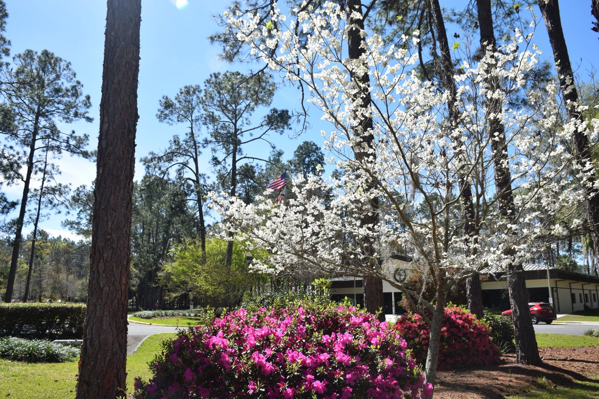 FGCollege's tweet photo. Spring is in the air, and the azaleas are in full bloom.

And FGC Spring Break 2018 starts tomorrow!

Everyone have a safe and relaxing break. We'll see you back at FGC on Monday, March 19. https://t.co/Kc7eMBVXOR