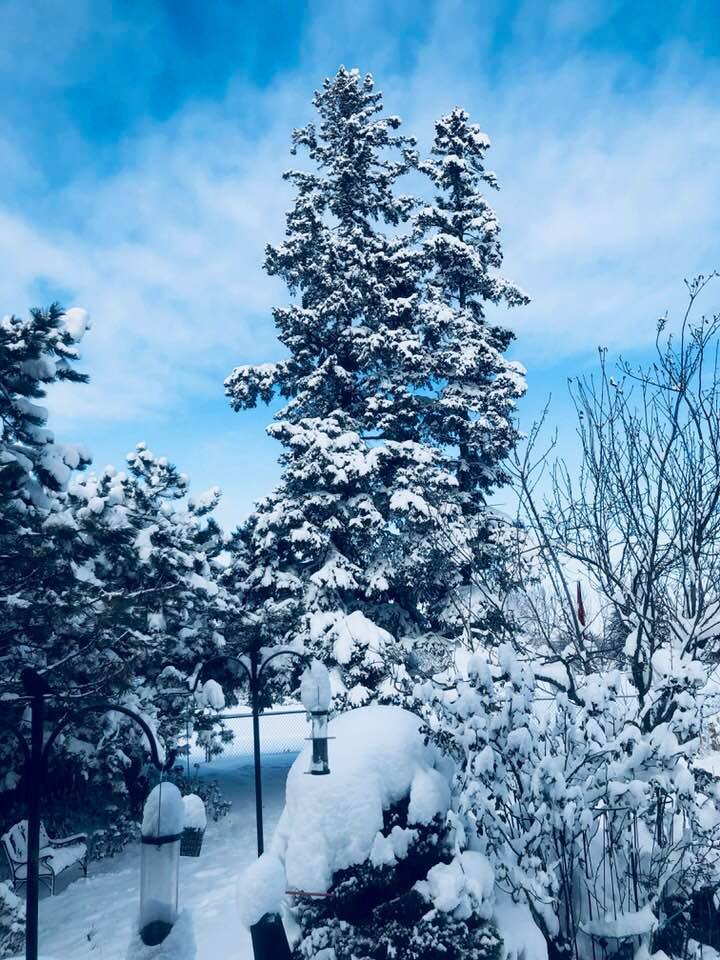 The FACTS and Your Solution! conta.cc/2t9JvsX