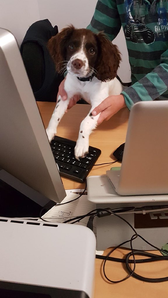 JamesHague6's tweet photo. @kazaandtroy Perhaps a desk job instead 🤔 https://t.co/IfhujjJh9Z