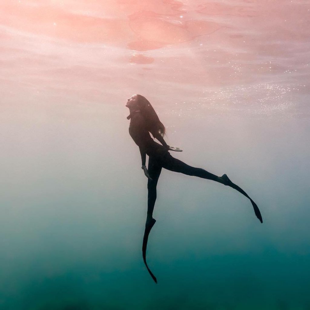 Buceo_Y_Pesca's tweet photo. Feliz día de la mujer!! https://t.co/CQciPrtp6f