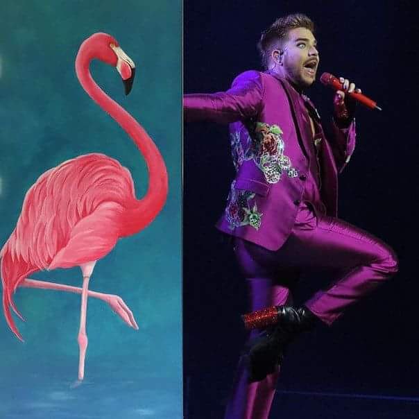 👑And you knew that all this time with Queen wasn't <a href="/adamlambert/">ADAM LAMBERT</a>
but such a charming flamingo????
#AdamLambert
#queenberttour
#glamilylovesadam #glambertsforever