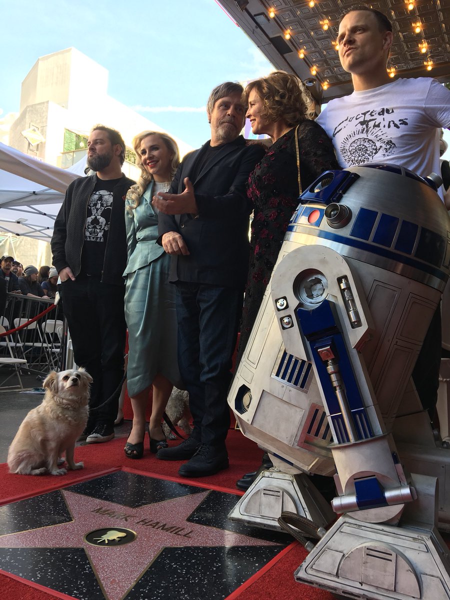 starwars's tweet image. Congratulations, @HamillHimself. #JediDay