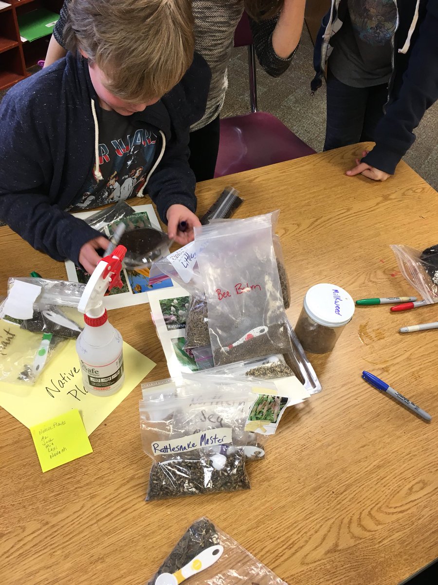 GibbyShane's tweet photo. #invitations choose, experience, reflect @MCCSC_EDU @ChildrenNature #NativePlantProject @SycLandTrust #TempletonElementary @HT_InSchool @gallykg https://t.co/jKPOO4Yi2d