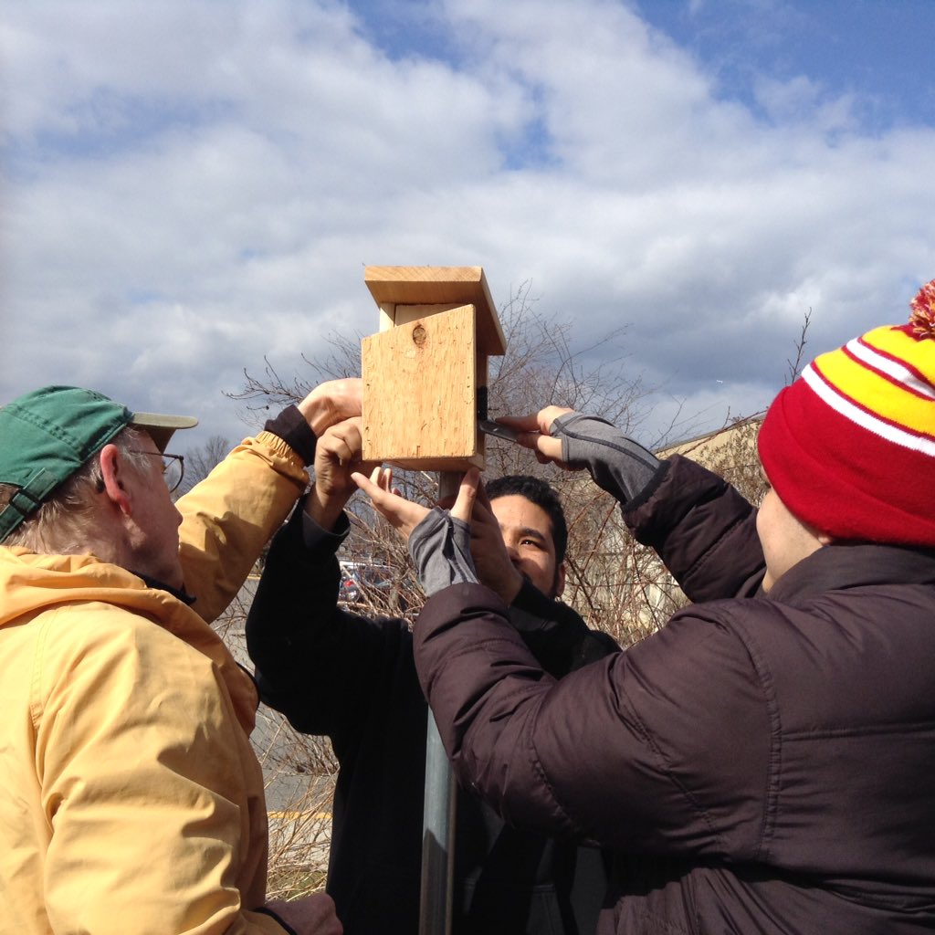 ACCSustainGo's tweet image. Today our PEP students put up two wren and chickadee boxes in our ACC gardens!  we can't wait to see what moves in!  @Margaretchungcc   #APSGreen @APSCareerCenter