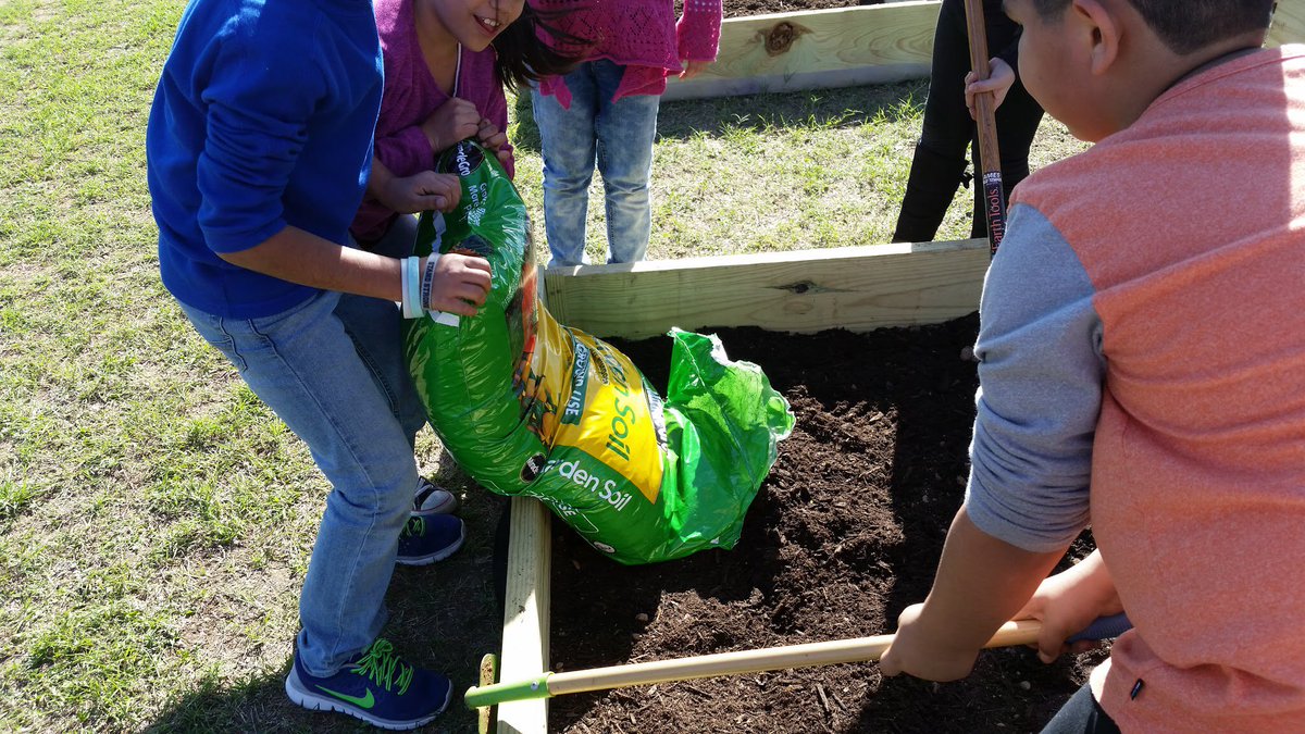 NISDTimberwilde's tweet photo. Our Gardening Club is up and running. Thank you, Mr. Watkins, for building our beds. Thank you, Mrs. Watkins, for getting this grant. Our little gardeners are off to a great start with the support of Ms. Paterson and Mrs. Cornelius. #timberwildestrong https://t.co/6RTCHxwBbL