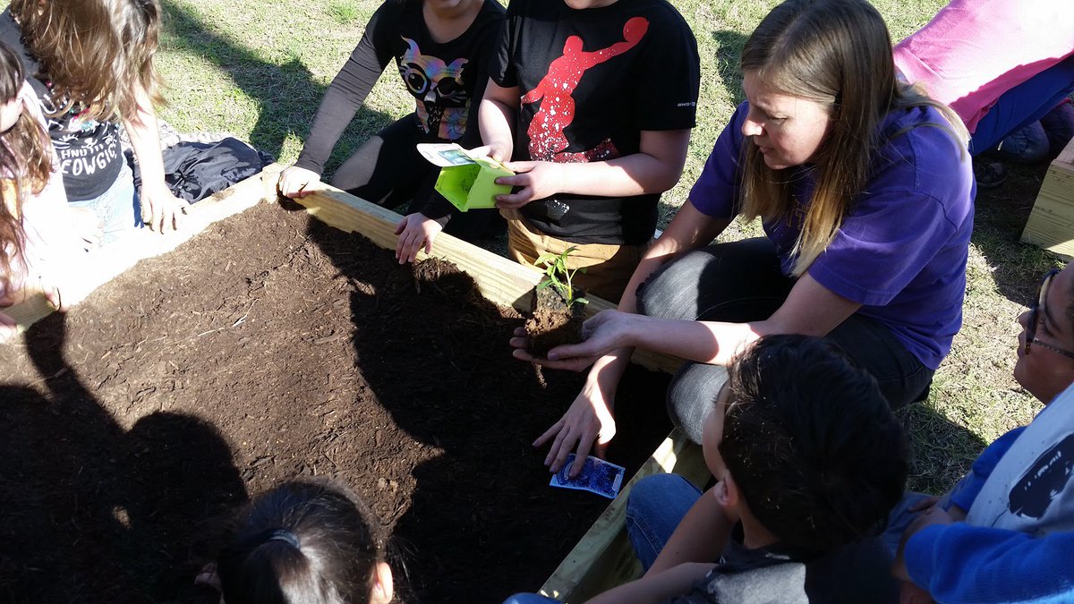 NISDTimberwilde's tweet photo. Our Gardening Club is up and running. Thank you, Mr. Watkins, for building our beds. Thank you, Mrs. Watkins, for getting this grant. Our little gardeners are off to a great start with the support of Ms. Paterson and Mrs. Cornelius. #timberwildestrong https://t.co/6RTCHxwBbL