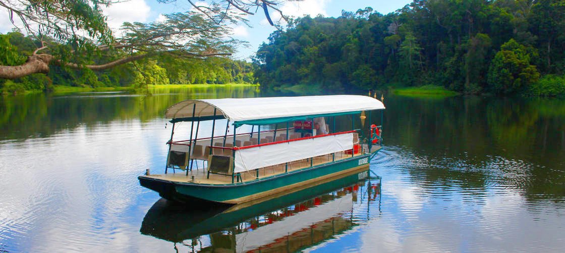 BellevueTrinity's tweet photo. Cruise around part of the world's most ancient tropical rainforest with a Kuranda Riverboat Cruise. 🌴🐊🦅https://t.co/mEkLh1m3WK #BellevueAtTrinityBeach #CairnsAccommodation #KurandaCruises https://t.co/rnQgnEJsMo