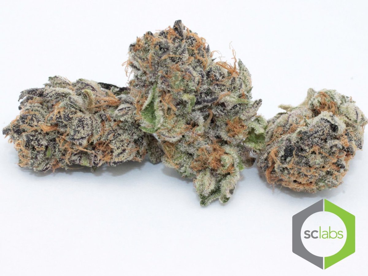 LoveFaithUnity1's tweet image. ‼️NEW STRAIN ALERT‼️🍇BLACKBERRY SHERBERT🍇 is a hybrid Indica dominate! Come pick up this potent stick bud today on our Top Shelf! #blackberrysherbert #bombaf #potentaf #fresh #bloomington #LoveFaithnUnity