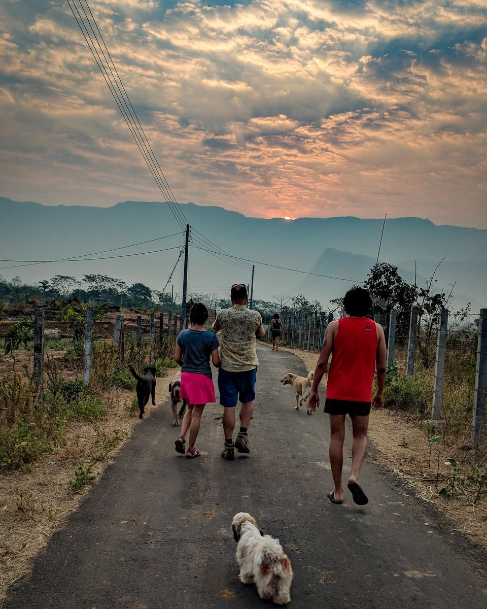 PhoebesFarm's tweet photo. #walking with ur own #pack is d #thingofthepast, at #PhoebesFarm every1 walks with a #pack of strangers & d #dogs like their own
#goodmorningworld #packwalk #packwalking #dogpack #packofstrangers #strangers #liketheirown #morningwalk #walkingpack #offtheleash #noleashes #sunrise https://t.co/IyyZg3bZlv