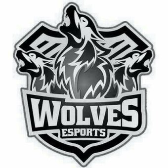 Wolves Esports 3/16