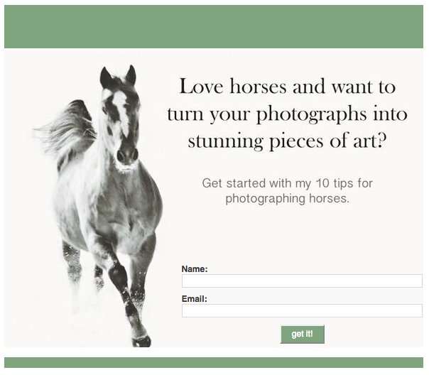 open2interp's tweet image. Join me in Wyoming for a one-of-a-kind workshop in creating art. September 15 -21, 2018. ed.gr/h8wc #horse #wyoming #art