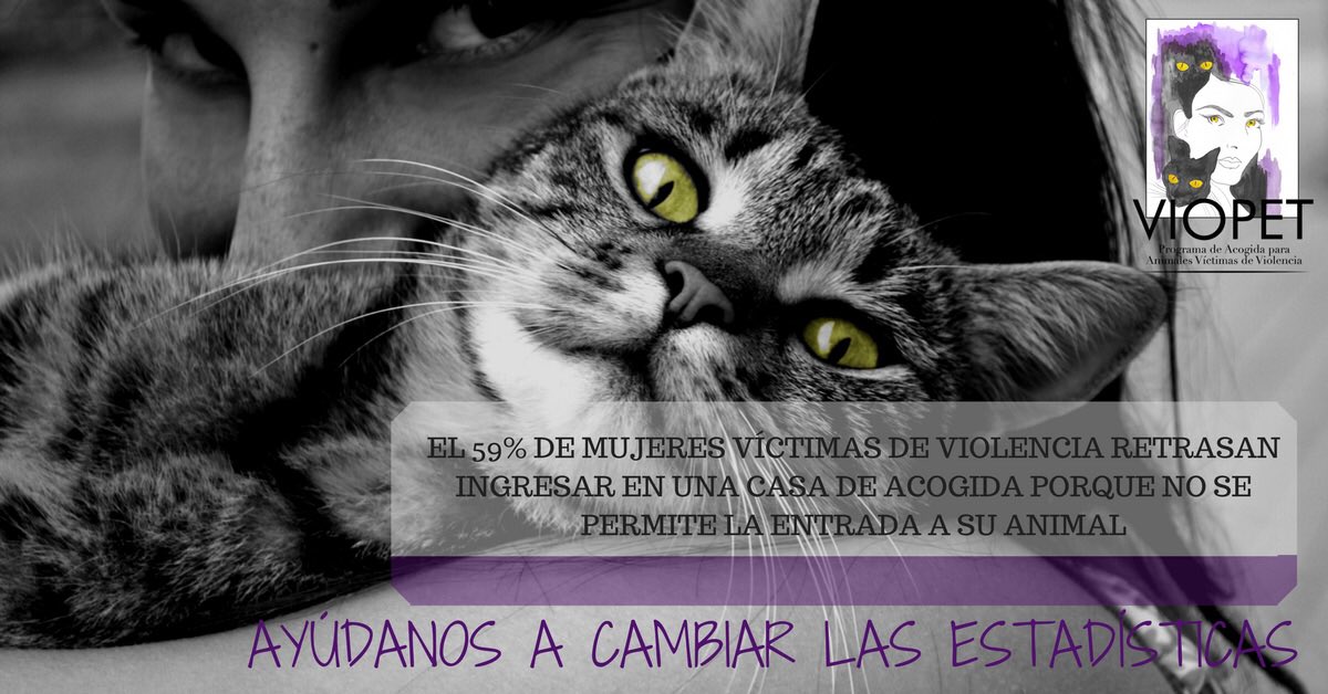 Programa VioPet 🙎🏻♀️🐾 tweet media